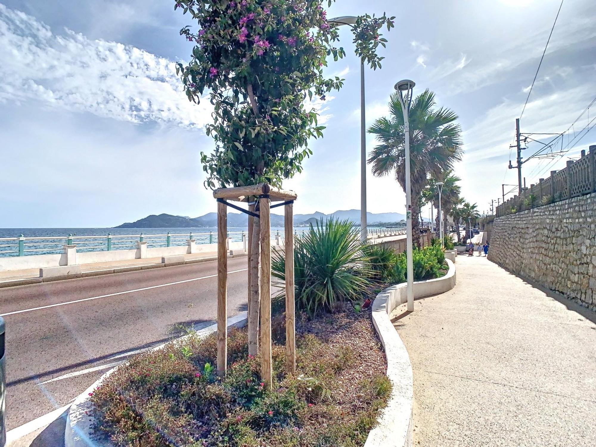 Appartement 3 Chambres A Proximite Des Plages Cannes Exterior foto